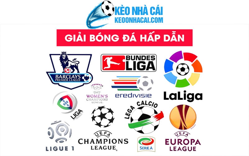 3 hop tac voi hau het giai dau hap dan Hợp tác với hầu hết giải đấu hàng đầu