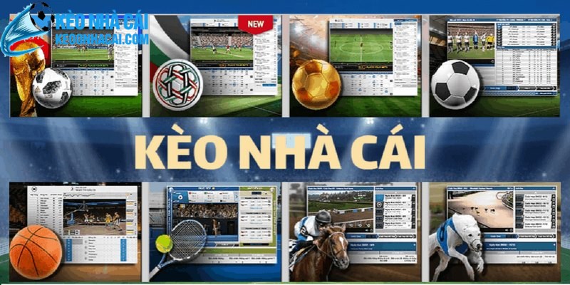 Keonhacai hoat dong voi gia tri cot loi mang den trai nghiem ly tuong cho anh em Keonhacai hoạt động với giá trị cốt lõi mang đến trải nghiệm lý tưởng cho anh em